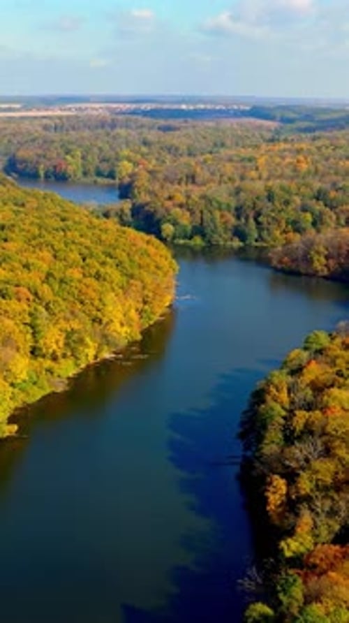 Autumn season river forest sceneries. Yellow forest aerial top view. Vertical video