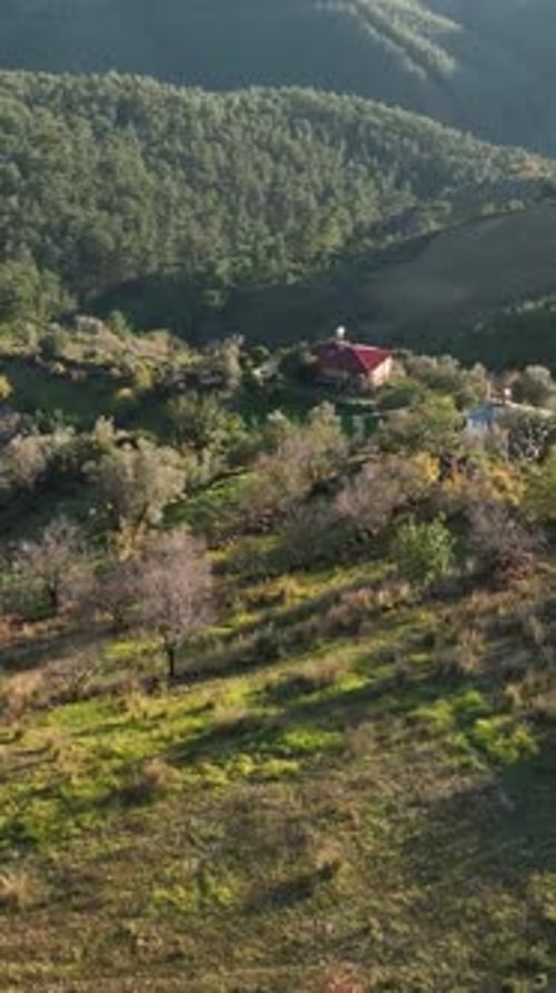 Vertical Video Aerial Haven Discovering Farming Homes in a Mountain Village Oasis