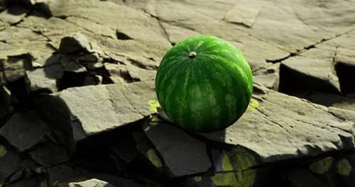 Bright Green Watermelon Resting on Rocky Terrain During Golden Hour