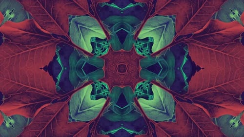 Abstract Christmas Nature Kaleidoscope Seamless Loop Background