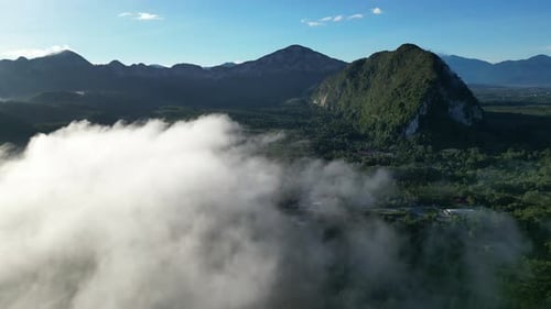 Breathtaking scenery of plantation under white cloud cover