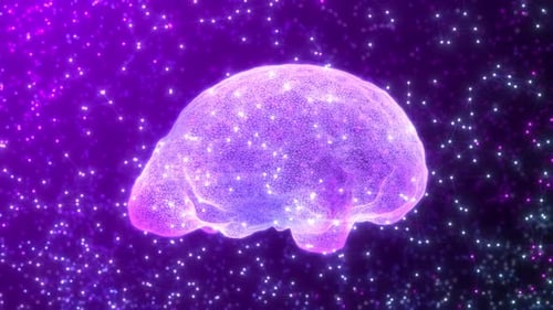 Digital Brain with Glowing Neural Network Animation Loop