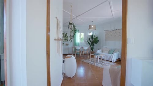 Stylish Living Room Interior Design with Plants