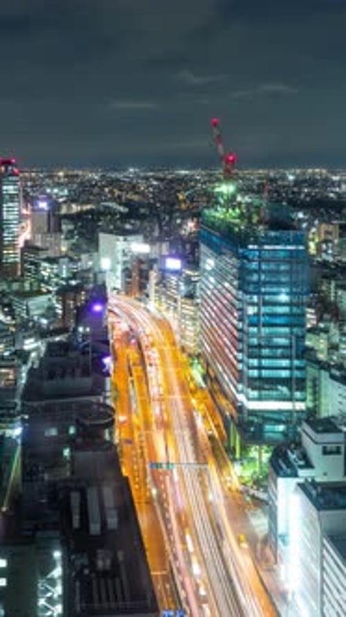 Time Lapse of a busy highway and Tokyo Japan at night. Vertical Video.