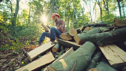 Junge Holzfäller arbeiten im Wald