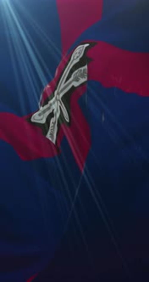 Vertical Waving Flag with Stylized Emblem and Light Rays