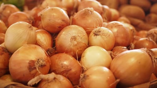 Fresh Vibrant and Aromatic Onions are Perfectly Piled in a Rustic Market Basket Ready for Use
