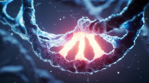 Animated DNA Helix with Glowing Gene Segment for Science and Medical Projects