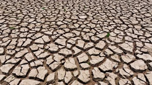 Drone view of cracked soil showing severe drought impact.