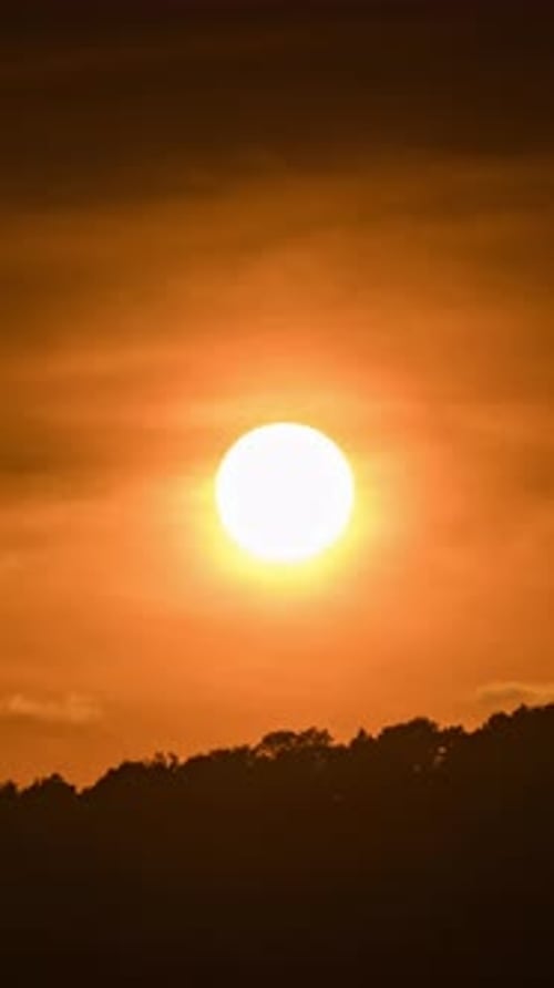 Golden sunset behind silhouetted trees with orange sky