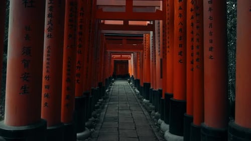 Tori Gates Pathway in Kyoto, Japan – No People, Peaceful Atmosphere