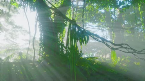 Deep Tropical Jungles of Southeast Asia