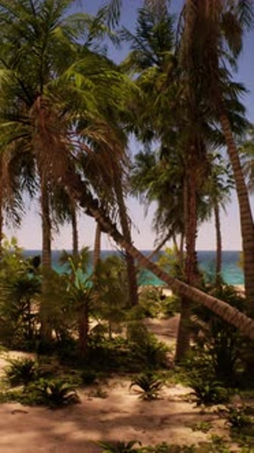 Sandy Beach With Palm Trees and Ocean