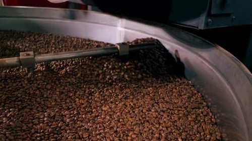Closeup of a Coffee Roasting Factory Inside Drum Roasting Stirring Coffee