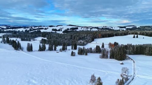 Footage over snow-covered meadows and pine tree woods.