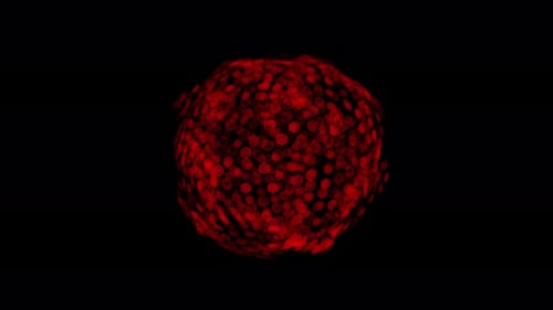 3D Liquid Fantasy Sphere | 4K