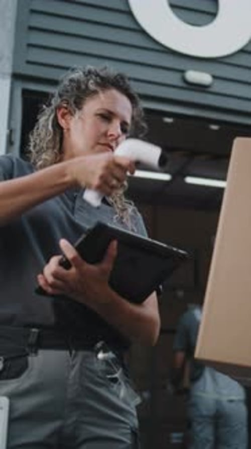 Workers Taking Cardboard Boxes with Online Orders Female Inventory Manager Scanning Parcels