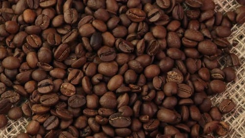 Roasted coffee beans rotating on burlap in a coffee shop concept. An invigorating morning coffee