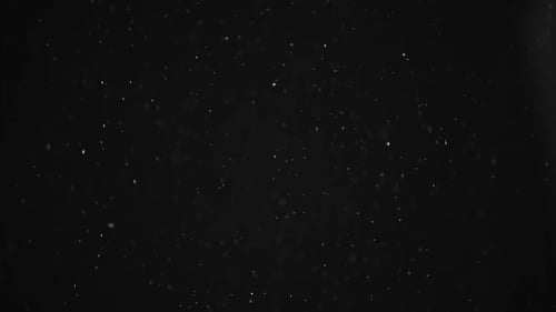 Abstract Particles Floating on a Black Background