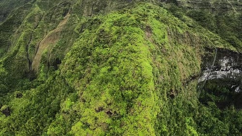 Aerial View of Rolling Hills and Green Landscape in Kauai Hawaii