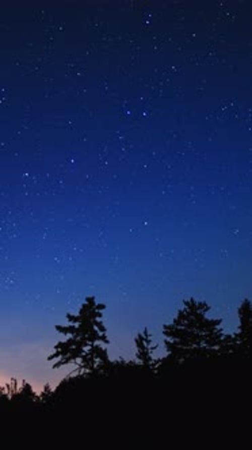 2K Vertical Milky Way and Stars
