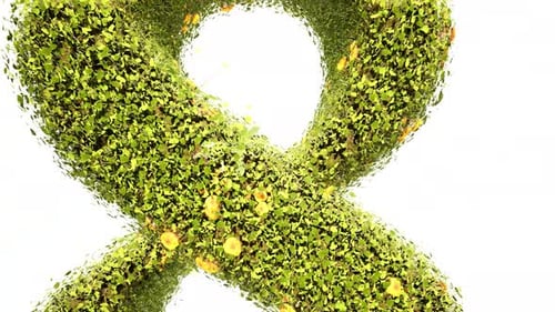 Organic Leafy Number 8 Reveal Animation