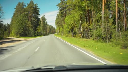 Profitez d'une route panoramique à travers une magnifique forêt verdoyante capturée au ralenti pour votre