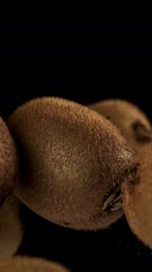 Whole Kiwis Fly on a Black Background Filmed on a Highspeed Camera at 1000 Fps
