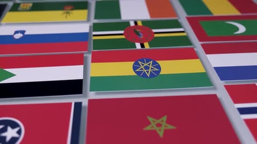 Colorful Array of National Flags from Around the World