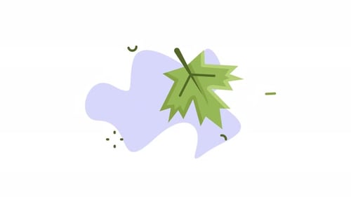 maple leaf icon animation video, nature adventure looping motion graphic animation