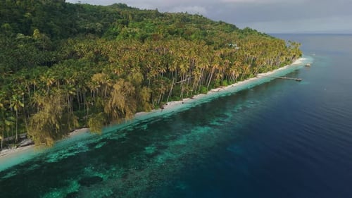 Paradise Coastline with Coconut Palm Trees Mountains and Sunrise Sunshine in Indonesia