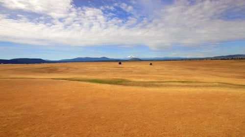Aerial view of beautiful Oregon landscape and snow capped mountains under blue sky
