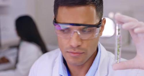 Plant science, man and laboratory with vial for research for futuristic innovation and development