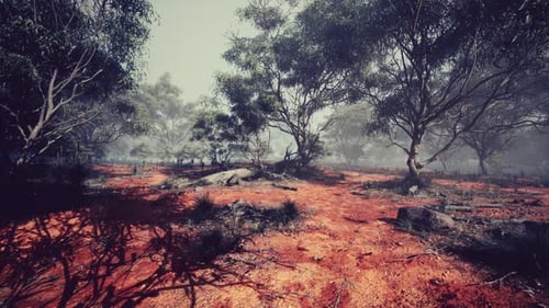 A Serene View of a Red Earth Landscape with Scattered Trees Under a Cloudy Sky