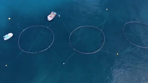 Drone Footage Of Fish Ponds In The Sea