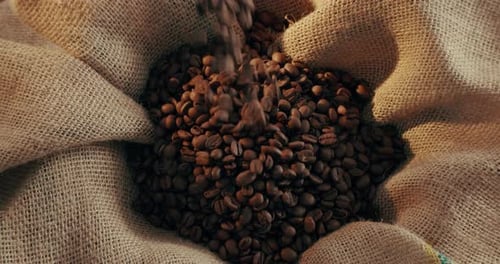 Coffee Beans Being Poured Into a Sack