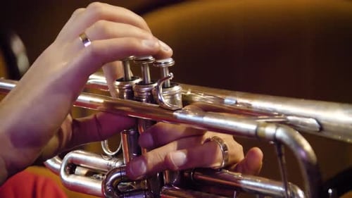 Mastering the Trumpet A CloseUp Perspective on the Technique and Its Artistic Expression
