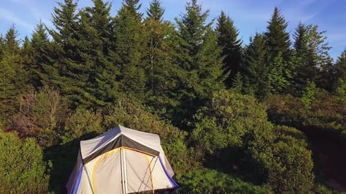 Campsite in Green Forest Aerial View