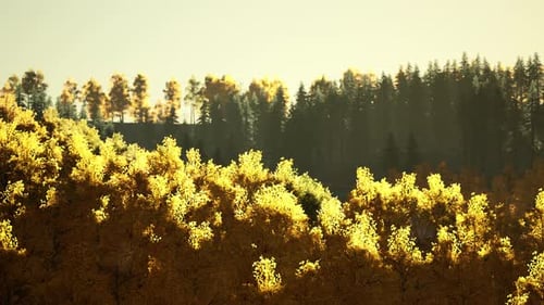 Valley with Autumn Trees Among the Mountains Lit By the Sun at Sunset
