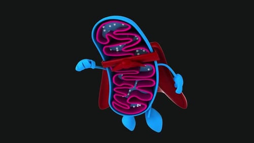 Fun 3D cartoon mitochondria (with alpha channel)
