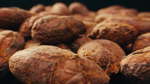 Kakaobohnen Makro gerösteter Kakao oder fallende Kakaobohnen in Zeitlupe, Nahaufnahme, Schokoladenherstellung