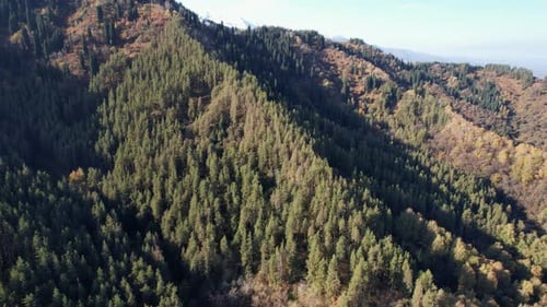 Aerial View of Forested Mountains in Daytime