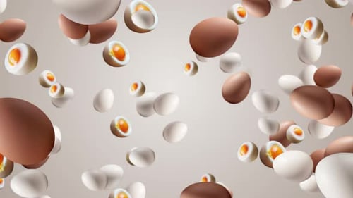 Slow Motion Of Lots Of Brown And White Egg Falling On White Gradient Background. Healthy Fresh Chick