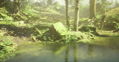 Serene Forest Landscape with Tranquil Pond and Lush Vegetation at Sunrise