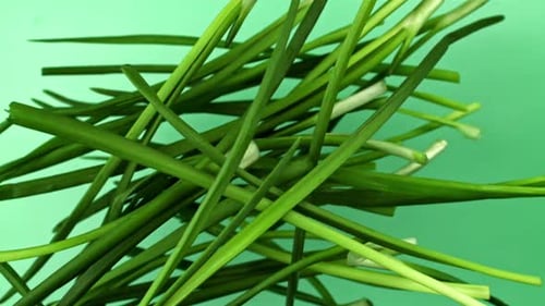 Fresh Green Onions Flying on a Green Background Filmed on a Highspeed Camera at 1000 Fps