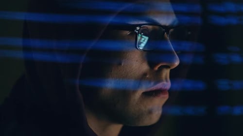 Technology Specialist Reviewing Programming Script Digital Display Detailed View