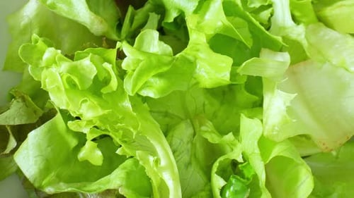 Close-up of a green vegetable salad.