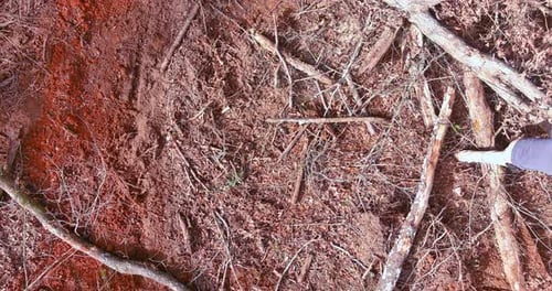 Without Proper Regulation and Management the Use of a Sawing Chain Saw By Untrained Individuals Can
