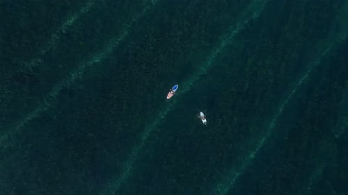 Aerial View of Surfers in the seaBaliIndonesia