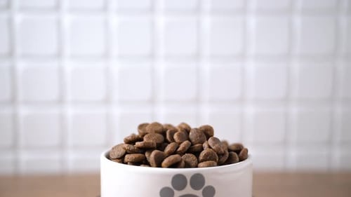 Dry Brown Dog Food Pellets in White Bowl